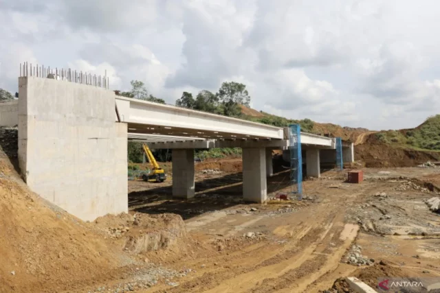 Menjaga hak satwa di tengah tol Aceh yang membelah hutan